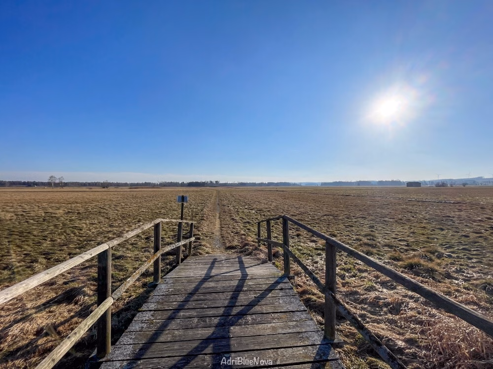 archaeologischer moorlehrpfad bad buchau