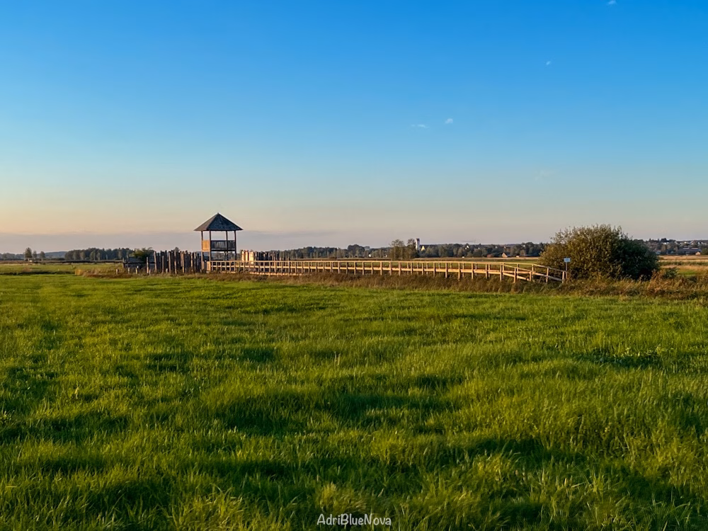 siedlung forschner bad buchau
